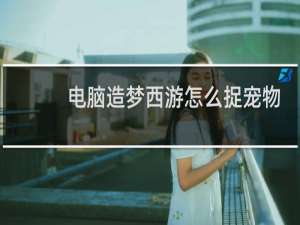 电脑造梦西游怎么捉宠物