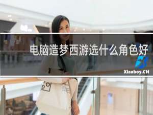 电脑造梦西游选什么角色好