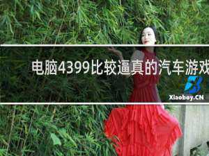 电脑4399比较逼真的汽车游戏