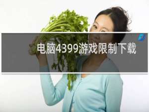 电脑4399游戏限制下载