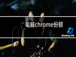 电脑chrome份额
