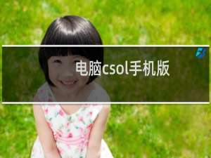 电脑csol手机版