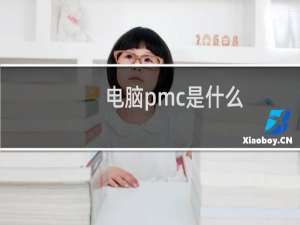 电脑pmc是什么