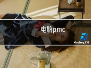 电脑pmc