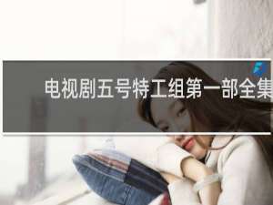 电视剧五号特工组第一部全集
