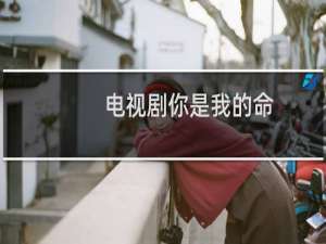 电视剧你是我的命