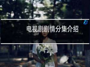 电视剧剧情分集介绍