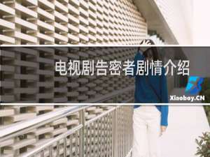 电视剧告密者剧情介绍
