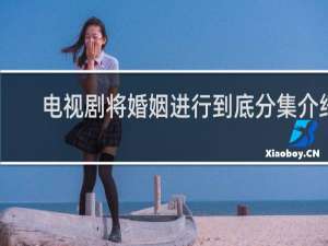 电视剧将婚姻进行到底分集介绍