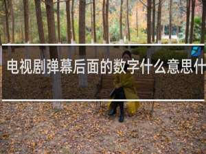 电视剧弹幕后面的数字什么意思什么梗