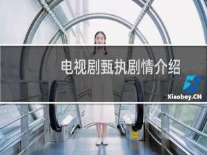 电视剧甄执剧情介绍