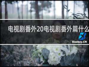 电视剧番外 电视剧番外篇什么梗