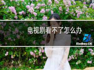 电视剧看不了怎么办