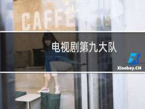 电视剧第九大队