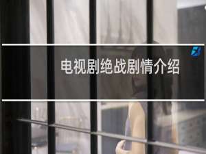 电视剧绝战剧情介绍