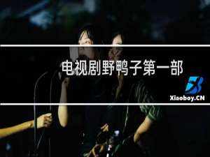 电视剧野鸭子第一部