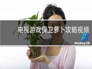 电视游戏保卫萝卜攻略视频