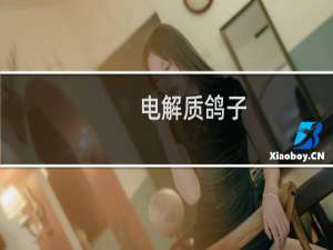 电解质鸽子