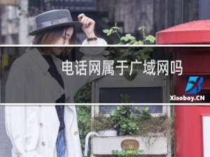 电话网属于广域网吗