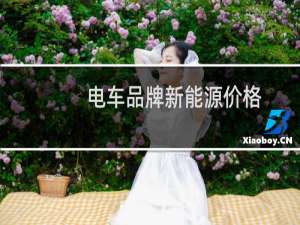 电车品牌新能源价格