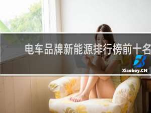 电车品牌新能源排行榜前十名