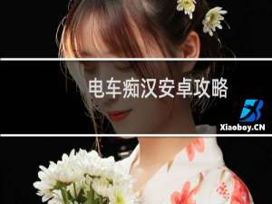 电车痴汉安卓攻略