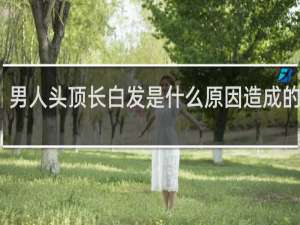 男人头顶长白发是什么原因造成的女性