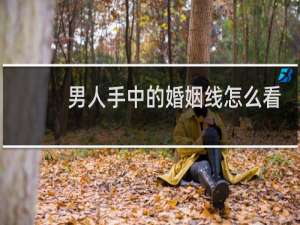 男人手中的婚姻线怎么看