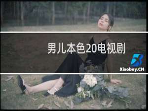 男儿本色 电视剧