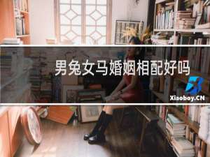 男兔女马婚姻相配好吗