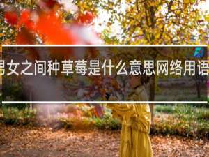男女之间种草莓是什么意思网络用语什么梗