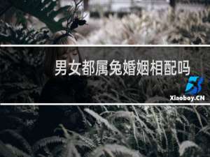 男女都属兔婚姻相配吗