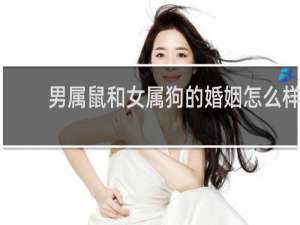 男属鼠和女属狗的婚姻怎么样