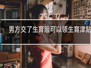 男方交了生育险可以领生育津贴吗