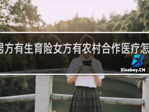 男方有生育险女方有农村合作医疗怎么报销