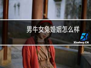 男牛女兔婚姻怎么样