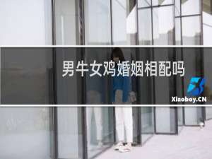 男牛女鸡婚姻相配吗