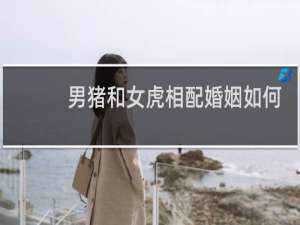 男猪和女虎相配婚姻如何