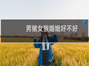 男猪女猴婚姻好不好