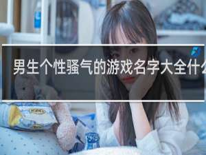男生个性骚气的游戏名字大全什么梗