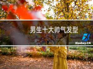 男生十大帅气发型.16岁.从上面看是什么