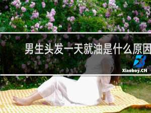 男生头发一天就油是什么原因
