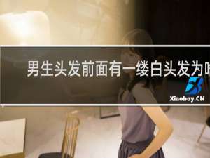 男生头发前面有一缕白头发为啥
