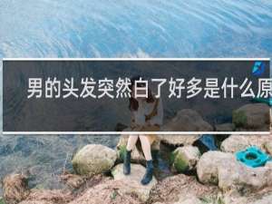 男的头发突然白了好多是什么原因