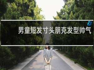 男童短发寸头朋克发型帅气