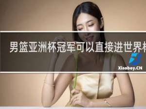 男篮亚洲杯冠军可以直接进世界杯吗