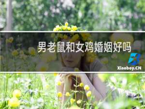 男老鼠和女鸡婚姻好吗