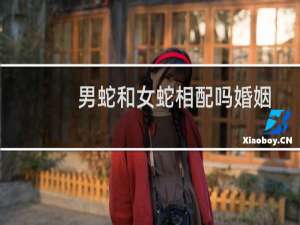 男蛇和女蛇相配吗婚姻
