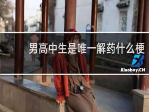 男高中生是唯一解药什么梗
