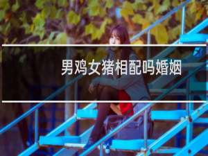 男鸡女猪相配吗婚姻